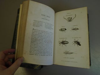 General Zoology or Systematic Natural History. Vol. VI. Parts 1 & 2: Insecta. (2-volumes)